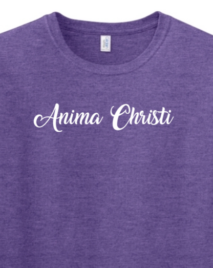 Anima Christi T-shirt - script