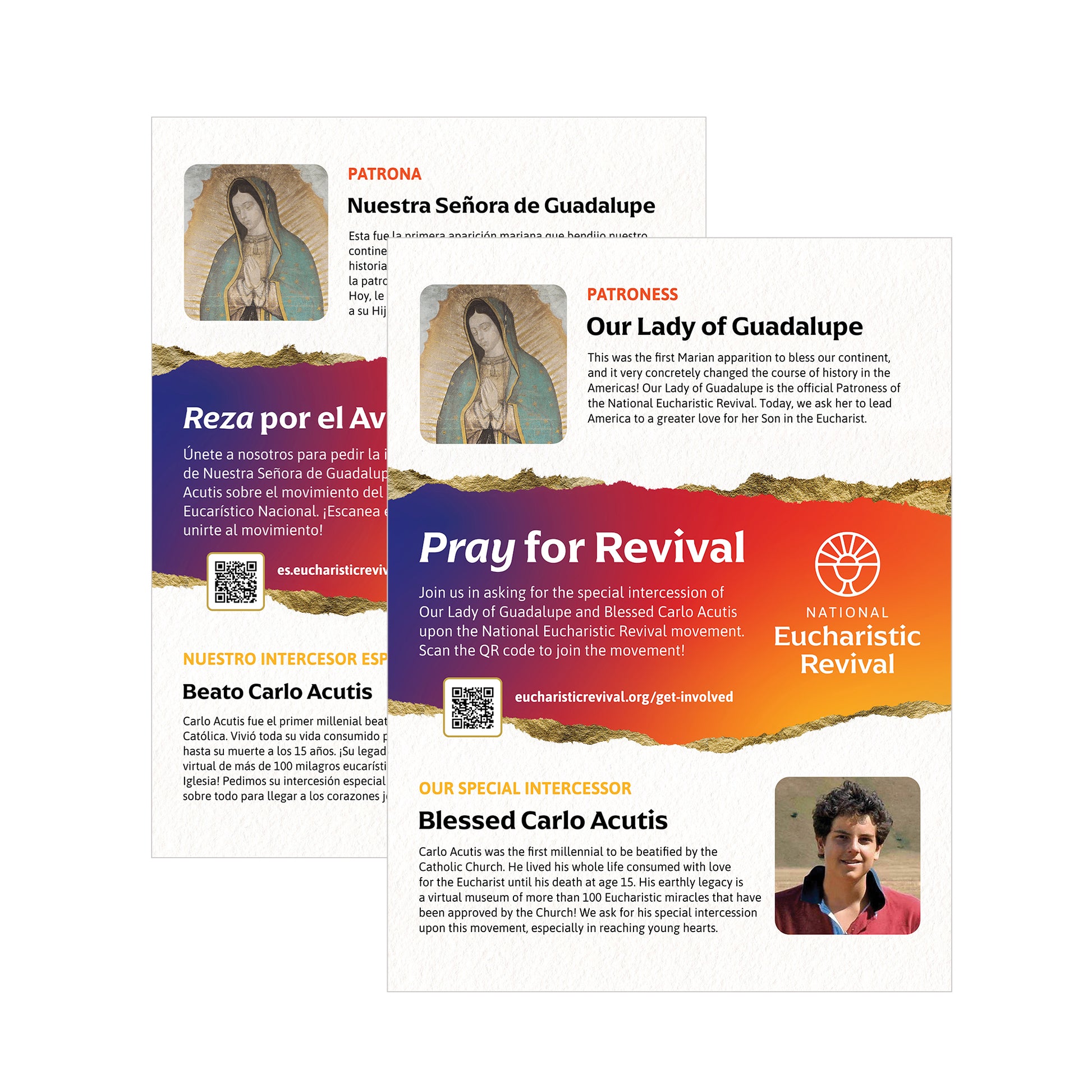 Parish Kit - Bilingual – Eucharistic Revival