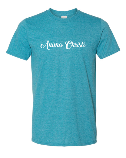 Anima Christi T Shirt